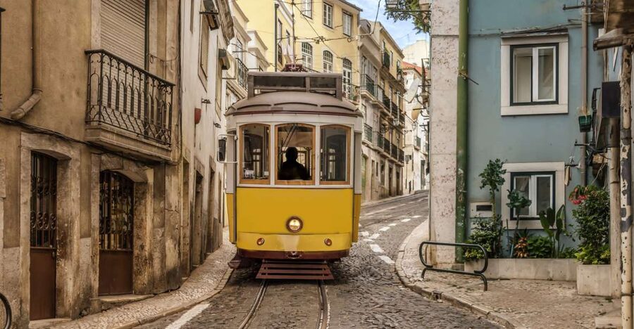Lisbon: See Lisbon Like a Local on a Private Walking Tour - Santo Estêvão Belvedere and the quick culture break at Saramago
