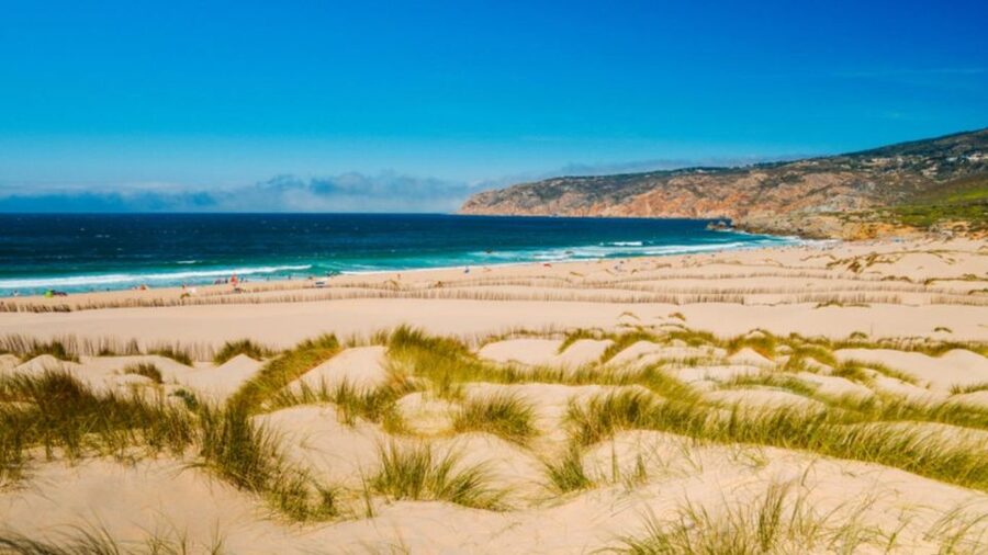 Lisbon: Sintra, Pena Palace, Cabo Roca Coast & Cascais Tour - Who should book this Sintra and Cascais tour