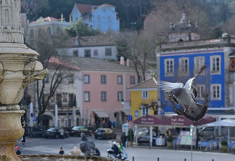 Lisbon: Sintra, Pena Palace, Quinta Regaleira, Cascais Tour - Pena Palace at 9:30 AM: The View-First Strategy That Makes Sense