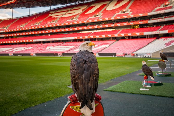 Lisbon SL Benfica Stadium & Museum Tour with Scarf - Who This Tour Fits Best (And Who Might Want Another Option)