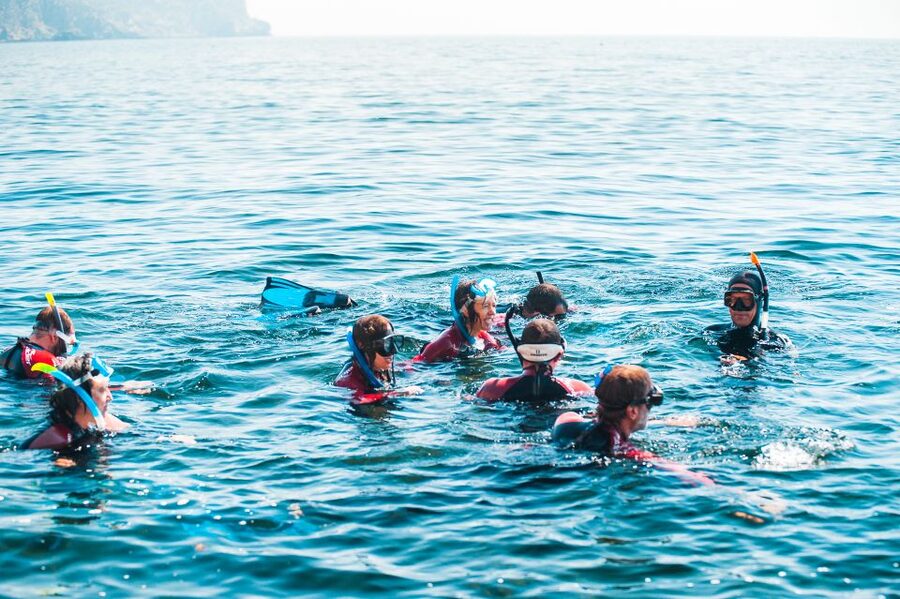 Lisbon: Snorkelling in Sesimbra/Arrábida Natural Park - Who This Tour Fits Best (And Who Should Think Twice)