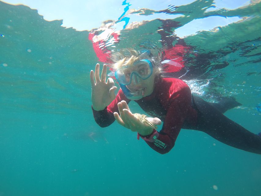 Lisbon: Snorkelling in Sesimbra/Arrábida Natural Park - Key Points You Should Know Before You Go