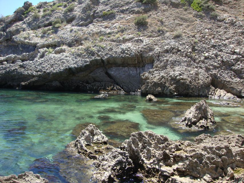 Lisbon: Snorkelling in Sesimbra/Arrábida Natural Park - Underwater What You Might Actually See (And How to Look for It)