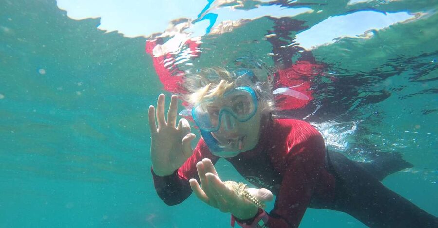 Lisbon: Snorkelling in Sesimbra/Arrábida Natural Park - Snorkeling the Prof. Luiz Saldanha Marine Park, Part of Arrábida Natural Park