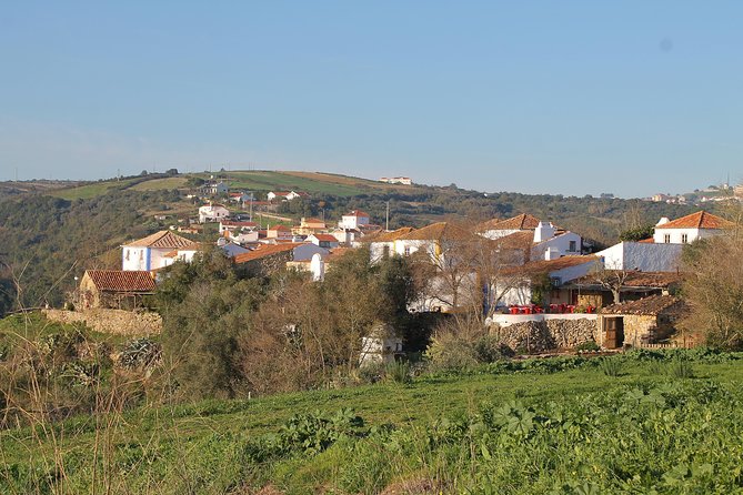Lisbon Southern Region (Fernão Pó) Wine Tasting Private Tour - Casa Ermelinda Freitas: sandy soils, cool breezes, and female-led leadership