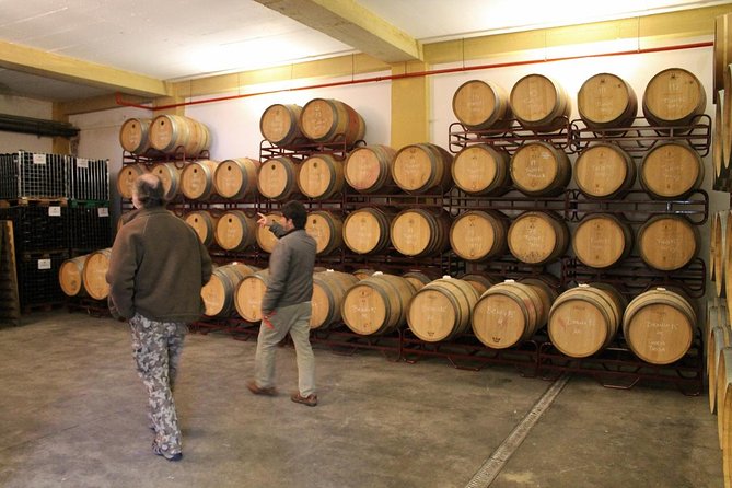 Lisbon Southern Region (Fernão Pó) Wine Tasting Private Tour - Customizing your day, plus the fun add-ons guides sometimes include