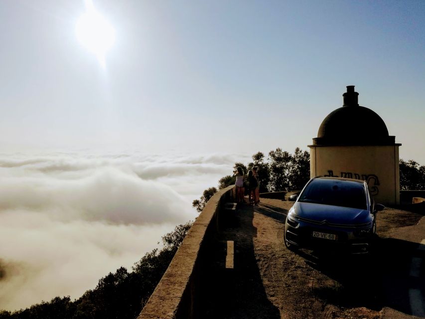 Lisbon: Southern Sights and Wine Private Tour - Setúbal Wine Tasting: Rich Wine Region, Relaxed Pace