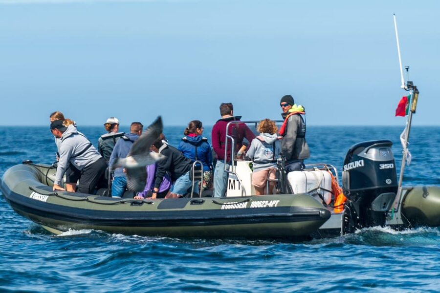 Lisbon: Speedboat Trip to Bugio Lighthouse - What to Bring, What to Wear, and How to Stay Comfortable
