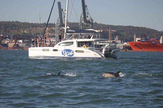 Lisbon: Sunset Cruise With Drinks on Spacious Yacht - Comfort, Drinks, and Onboard Rules That Matter