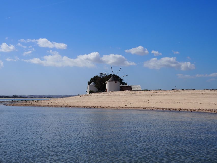 Lisbon: Tagus Estuary Nature Reserve Birdwatching Boat Tour - Why This Tagus Estuary Boat Tour Beats a City Walking Day