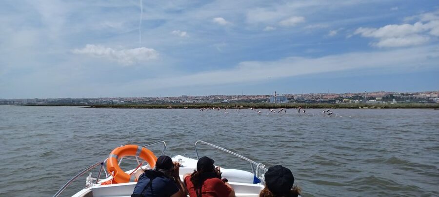 Lisbon: Tagus Estuary Nature Reserve Birdwatching Boat Tour - Parque das Nações Photo Stops: Fast Views, Then You Turn Toward the Wild