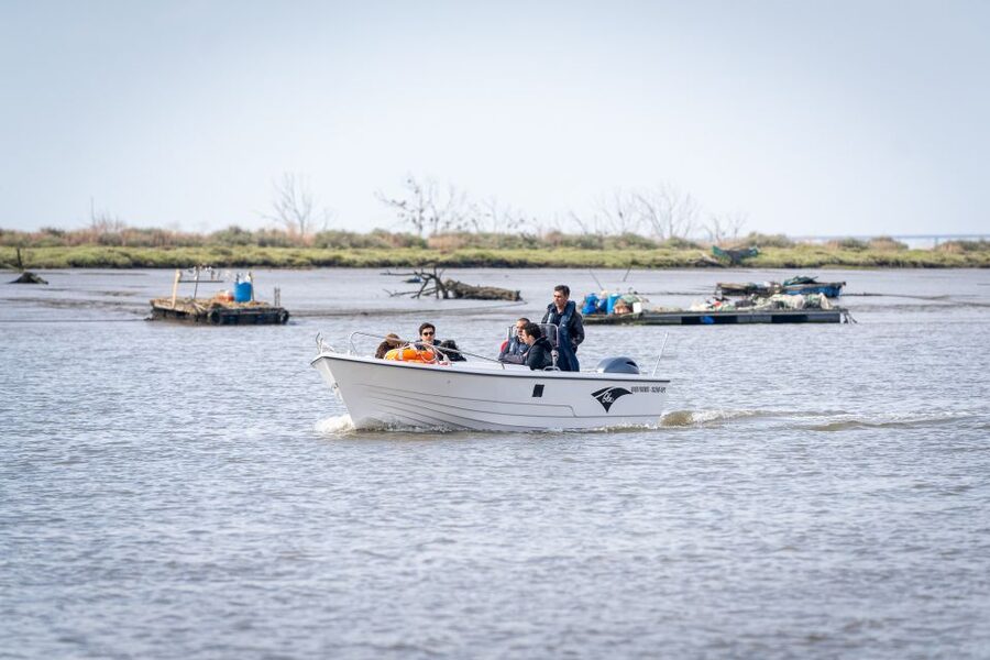 Lisbon: Tagus Estuary Nature Reserve Birdwatching Boat Tour - Tagus Estuary Nature Reserve: 2.5 Hours of Mudflats, Wings, and Patient Scanning