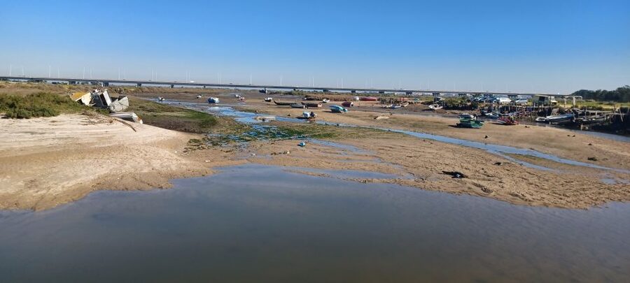Lisbon: Tagus Estuary Nature Reserve Birdwatching Boat Tour - Tides, Season, and Fog: The Stuff That Changes Your Sightings