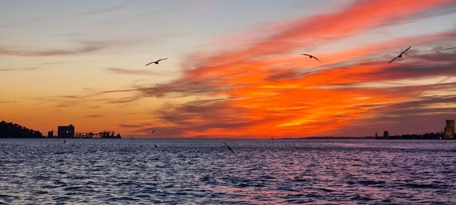 Lisbon: Tagus River Boat Sunset and Night Champagne Tour - Key Things I’d Watch For Before You Go
