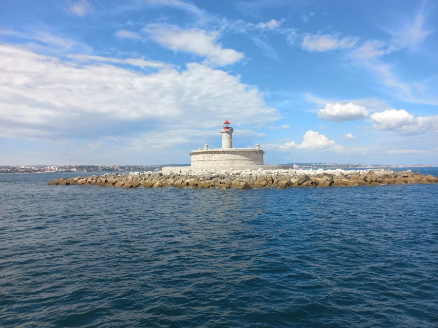 Lisbon: Tagus River Cruise to the Ocean & Dolphin Watching - Who should book this dolphin cruise
