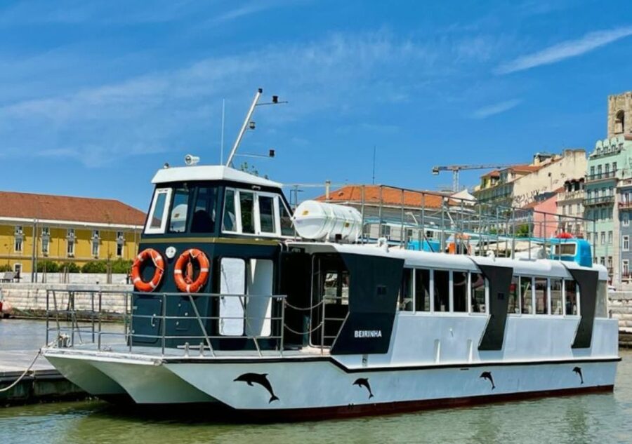 Lisbon: Tagus River Cruise to the Ocean & Dolphin Watching - Finding dolphins: what you should expect and how to think about odds