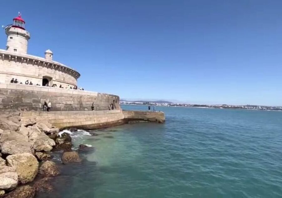 Lisbon: Tagus River Cruise to the Ocean & Dolphin Watching - Speed boats, seasons, and when you might feel more motion