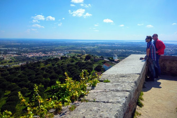 Lisbon & The South Side Wine Regions Private Luxury Tour - Guided talk versus guided inside visits, how to plan your expectations