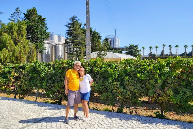 Lisbon & The South Side Wine Regions Private Luxury Tour - Cristo Rei and Palmela, start high for the best perspective