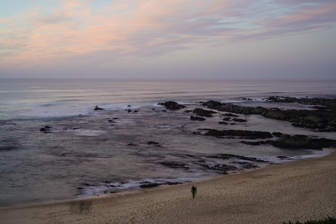 Lisbon to Algarve with stops along the coast - Stop 2: Farol do Cabo Sardão and the sea-cliff storks
