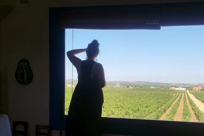 Lisbon to Evora: Cork Factory Visit and Wine Tour + hotel pick-up - Key highlights worth clocking