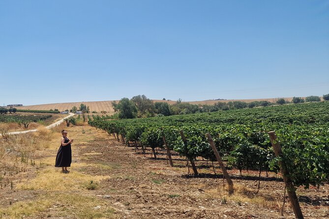 Lisbon to Evora: Cork Factory Visit and Wine Tour + hotel pick-up - Stop 3: Rota dos Vinhos do Alentejo, the certification side of wine