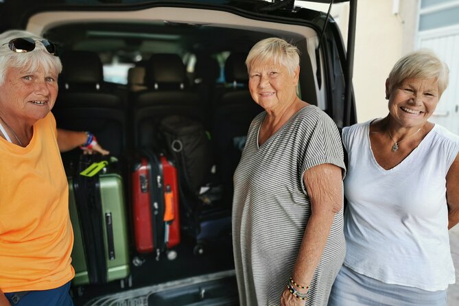 Lisbon to Madrid Private Transfer: Stops in Évora & Toledo - The driver is part of the experience, and the evidence is strong