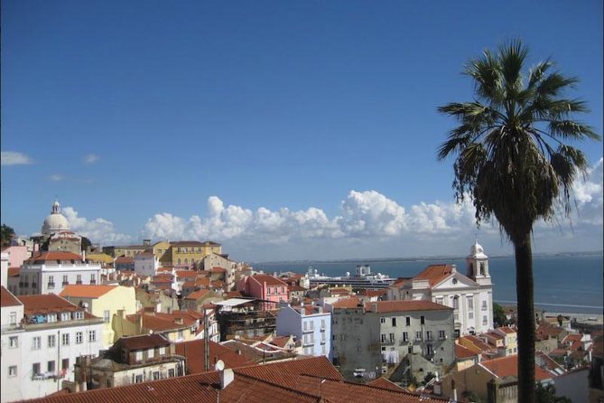 Lisbon walking tailored private tour (half day) - Who This Tour Fits Best