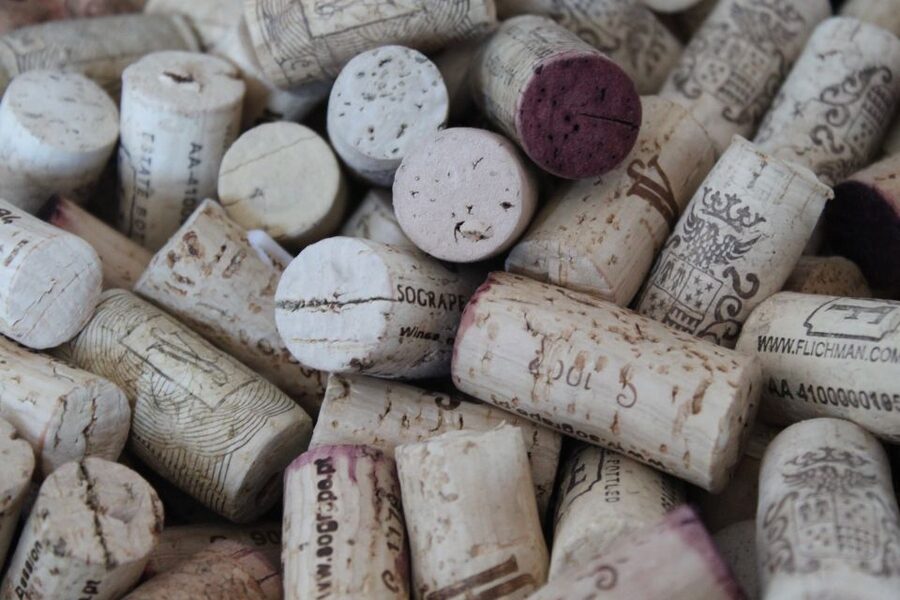 Lisbon Wine and Food: Private Walking Tour - Price and Value: Is $100 Worth It?