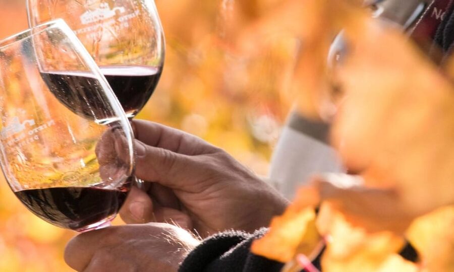 Lisbon Wine Tasting - Key Highlights to Expect