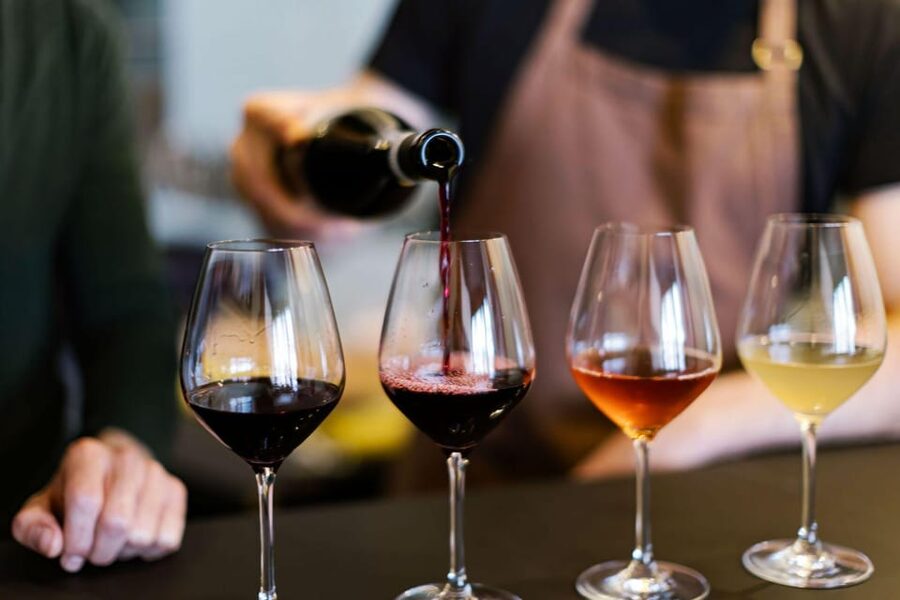 Lisbon Wine Tasting - Who This Wine Tasting Fits Best