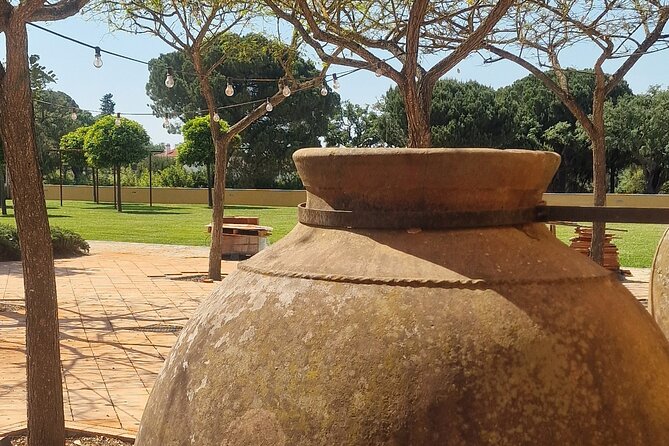 Lisbon Wine Tour: Azeitao, Setubal and Arrabida and Hotel Pickup - Mercado do Livramento: tiles, history, and a calm start