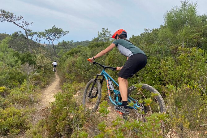 Lizandro Trails - Mountain Biking - Key highlights that make this ride worth your time