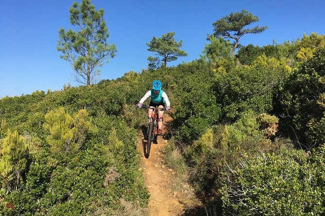 Lizandro Trails - Mountain Biking - Lizandro Trails in plain terms, Ericeira coast to forest singletrack