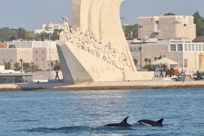 Meet the Lisbon Dolphins - Dolphin Watching in Lisbon - Getting on the Water at Doca de Santo Amaro, Just Under the Bridge