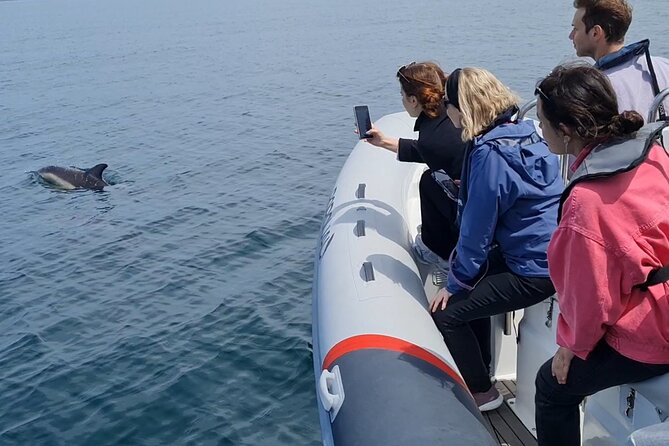 Meet the Lisbon Dolphins - Dolphin Watching in Lisbon - Staying Comfortable on a Boat: Dress Like It’s Windy, Not Sunny