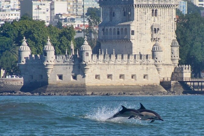 Meet the Lisbon Dolphins - Dolphin Watching in Lisbon - Who This Cruise Is Best For (and Who Should Rethink It)