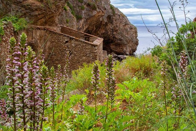 Mindful Coastal Hike in Arrabida – Secret Beach by the Atlantic - Pickup and transport: How this tour saves your energy