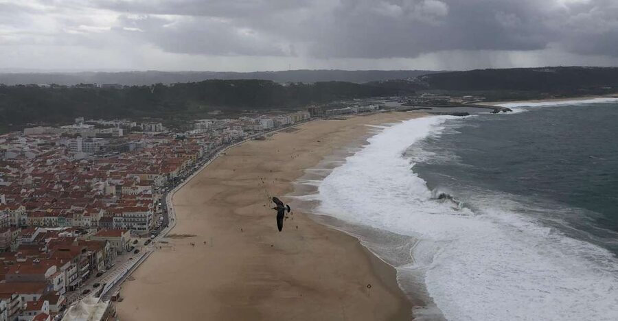 Nazaré: Big Wave Capital & Medieval Óbidos tour from Lisbon - The van ride to Nazaré: more than just transit