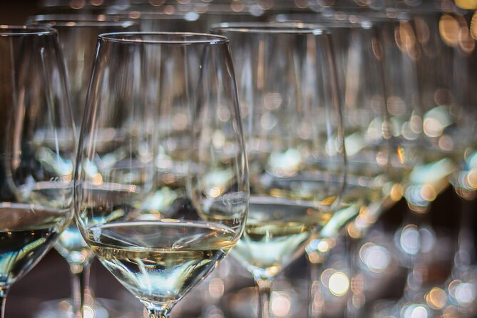 Non-Alcoholic Wine Tasting with an Expert - Alcohol-Free Wine Tasting in Lisbon, With Jeremias