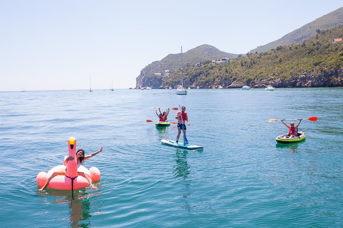 Ocean Bliss: Full Day Arrábida Private Yacht Tour from Lisbon - Dolphins, Louis and Gil, and the Moments That Make It Worth It
