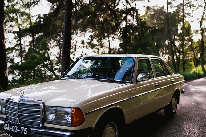 Pena Palace & Sintra Full Day -Private Tour in Classic Car - Quinta da Regaleira or Monserrate, pick your kind of mystery