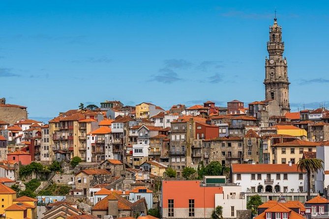 Porto and its charms - Tour from Lisbon - The first stops: Lisbon and the Boavista Lion-legs of context