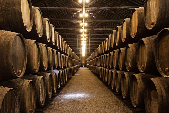 Porto Private Tour from Lisbon with Douro Cruise and Wine Tasting - Who should book this Lisbon to Porto Port cruise tour