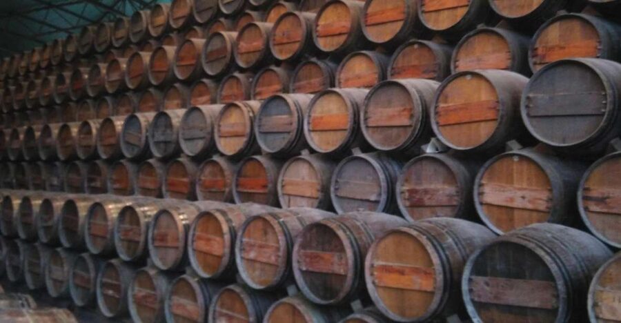 Portuguese Wine History & Amazing Landscape - A spring coast-and-wine circuit from Lisbon