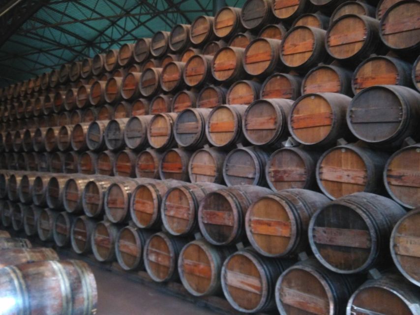 Portuguese Wine History & Amazing Landscape - Sesimbra and the Christ the King viewpoint stop
