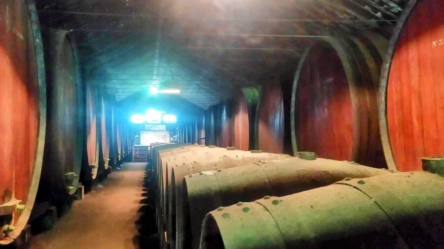 Portuguese Wine History & Amazing Landscape - Palmela Castle: Moorish roots and big river views