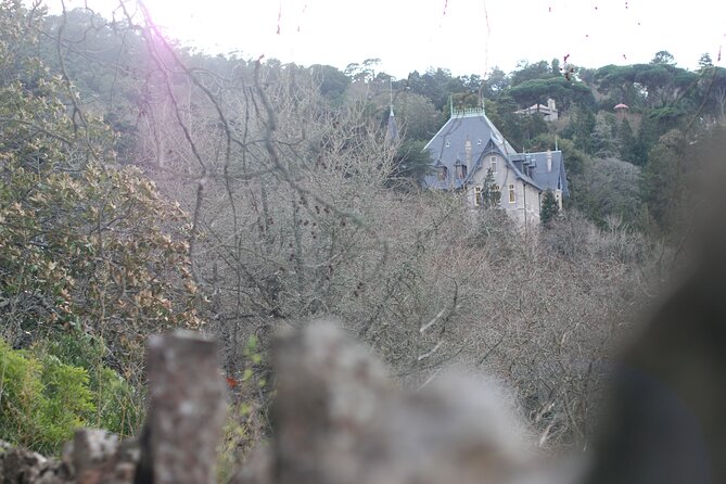Private 1 hour and half Sintra Guided Tour - Stop 4: Castelo dos Mouros, Moorish Castle Views Without the Long Walk Mental Load
