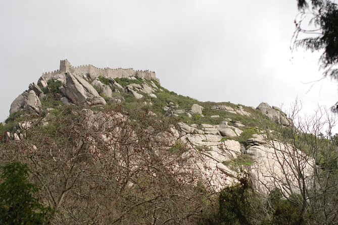 Private 1 hour and half Sintra Guided Tour - Stop 5 and 6: Pena Palace Area, Park Tickets, And The Ancient Duck Houses