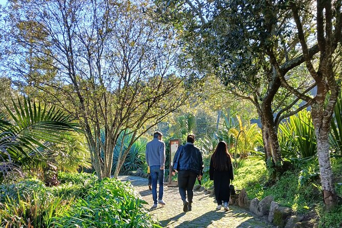 Private Chilled Daytrip to Sintra - Who This Private Sintra Daytrip Is Best For